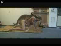 Gay and dog anal sex on the floor